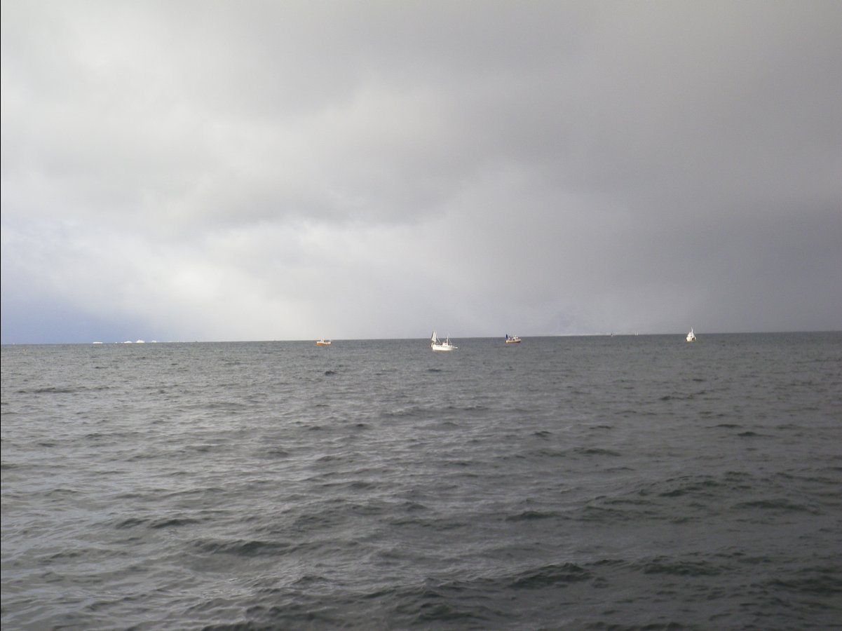 Cod Fishing48